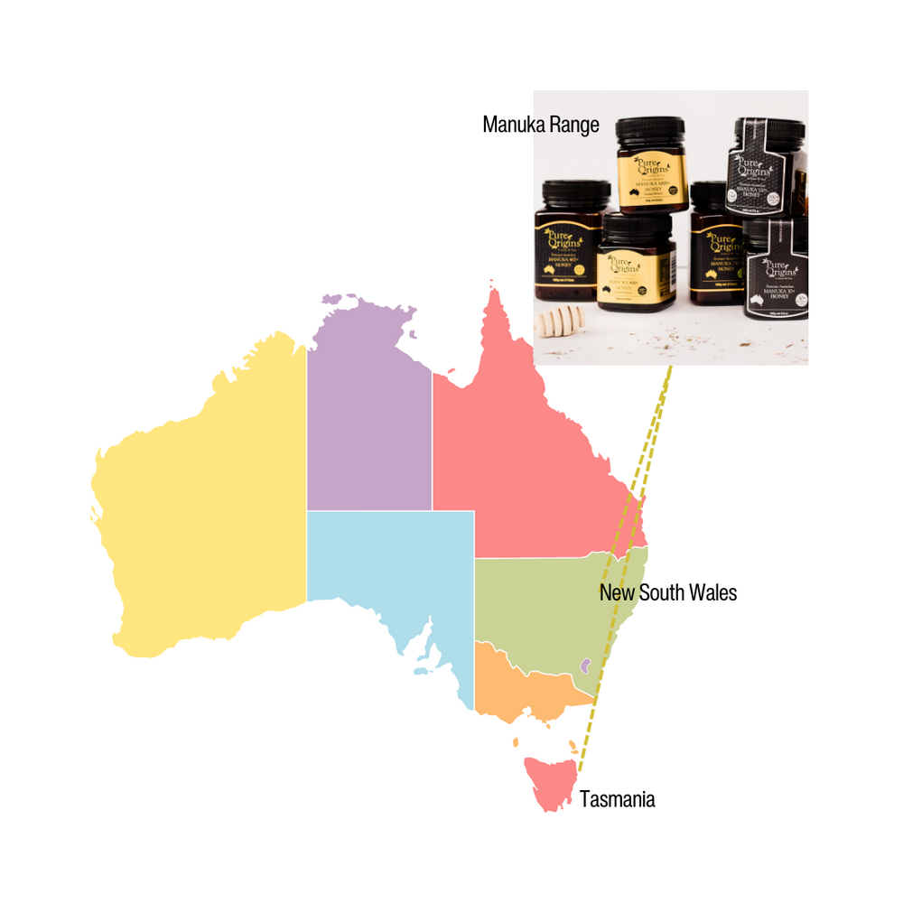 
                      
                        800+MGO High Grade Australian Manuka Honey (250g)
                      
                    