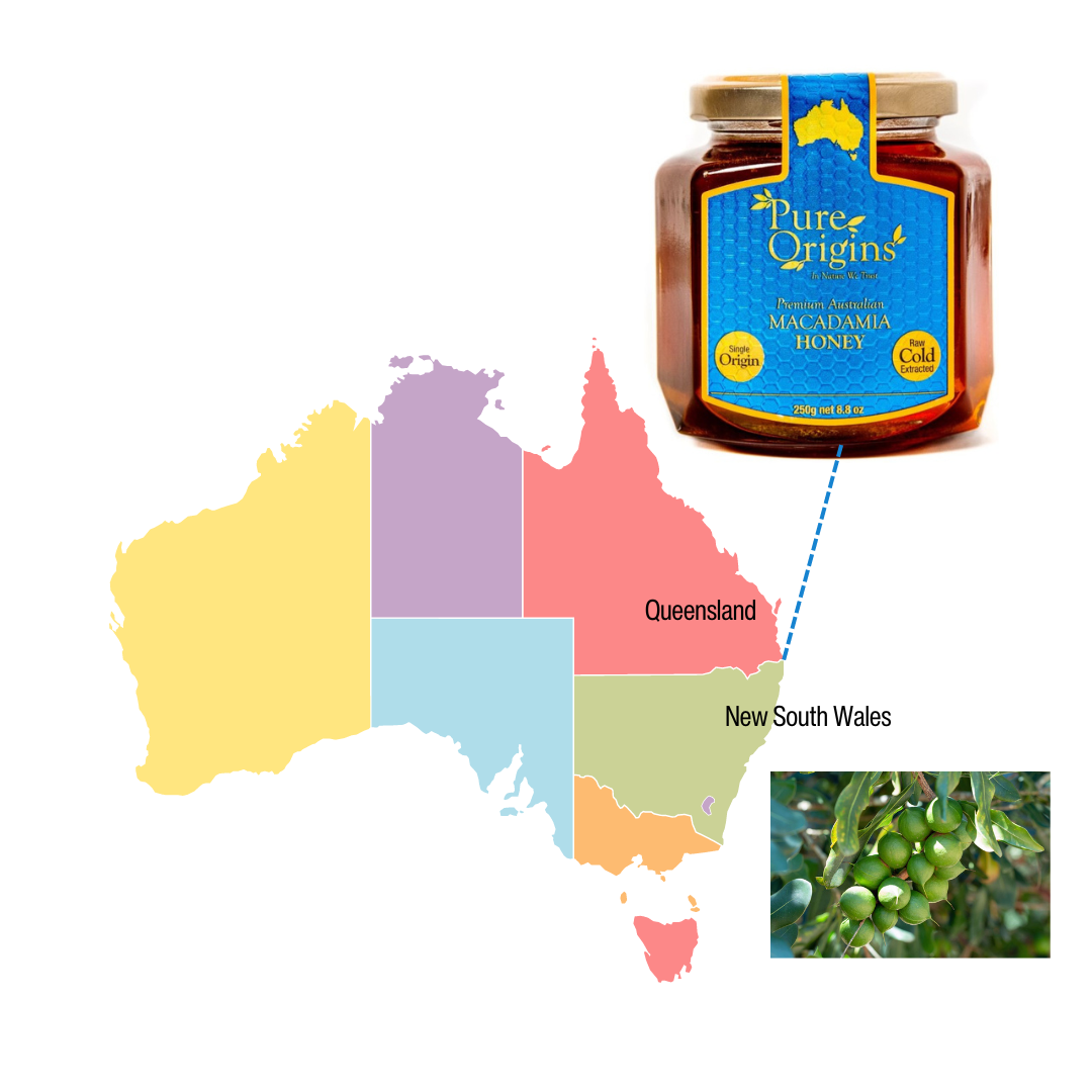 Australian Macadamia Honey (250g)